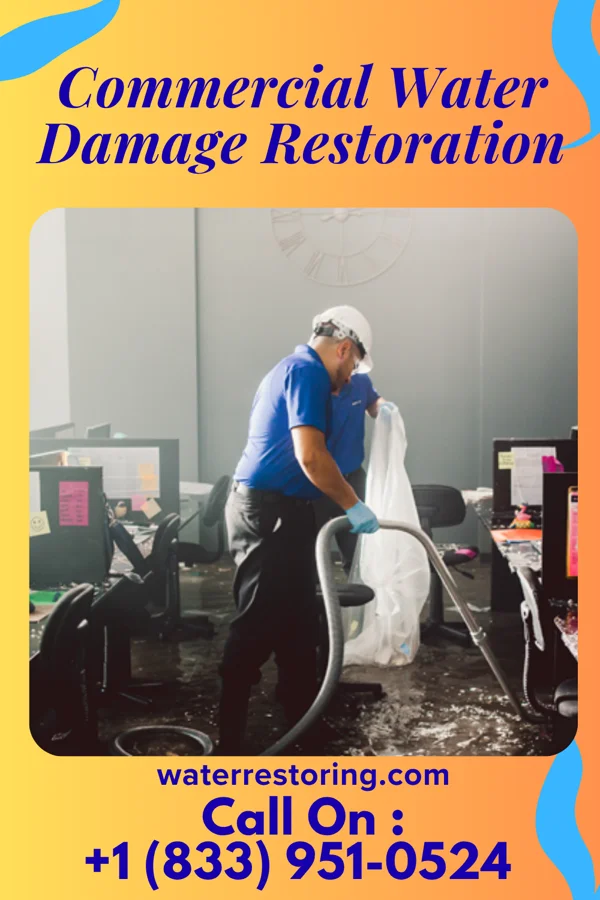 Commercial Water Damage Restoration in George, IA