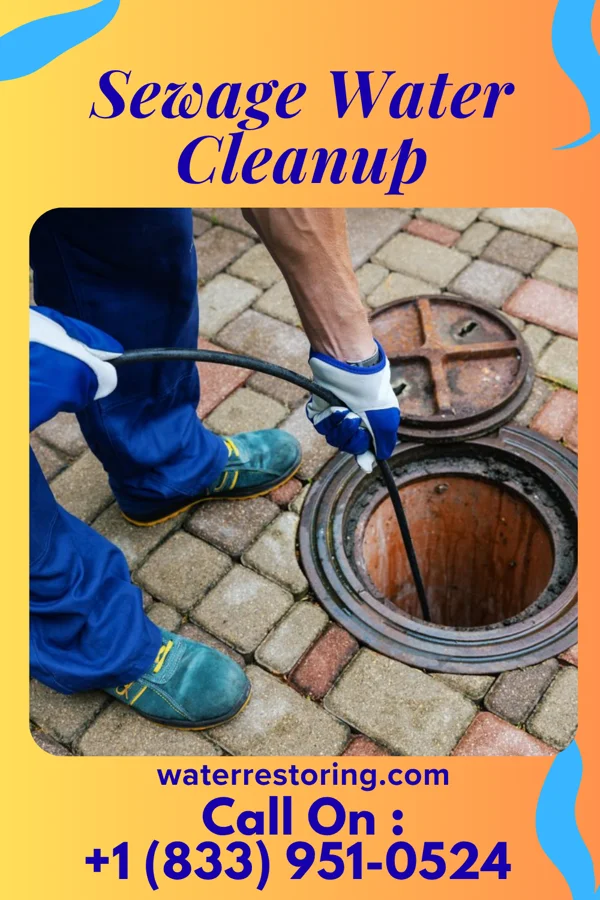 Sewage Water Cleanup in George, IA